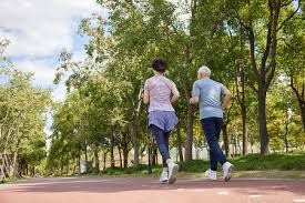 申花主力中卫朱辰杰重伤 下一轮京沪大战谁顶上？